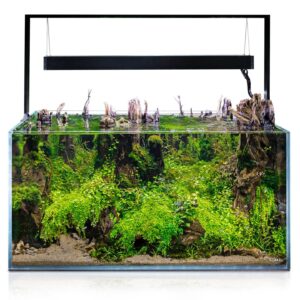Aquariums