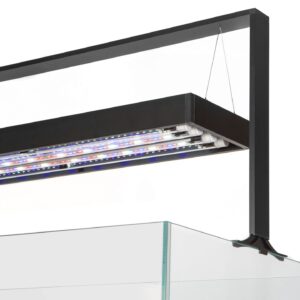 Lighting