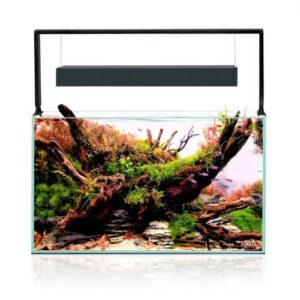 ULTRASCAPE 60 FOREST SET