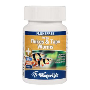 FlukeFree - Treats Flukes & Tape Worms