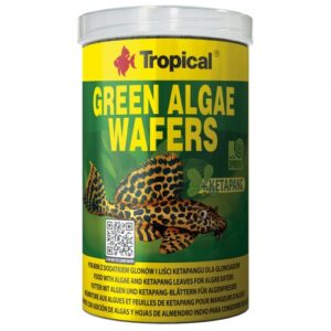GREEN ALGAE WAFERS