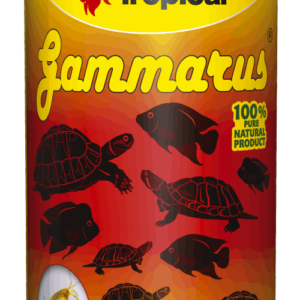 Reptiles