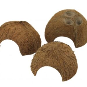 Half Coconut shelter