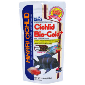 Cichlids
