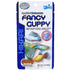 FANCY GUPPY