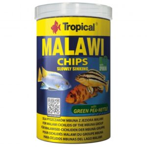 MALAWI CHIPS