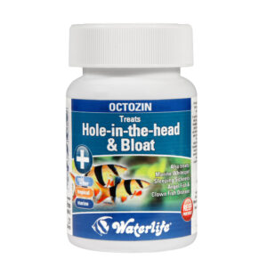 Octozin - Hole in the head, bloat