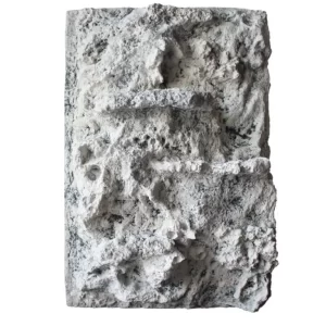 Reefline B 50x80cm