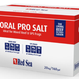 Salt