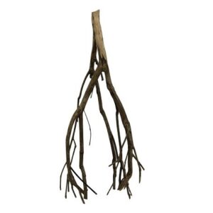 Talawa wood M